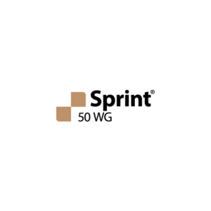 Logotipo Sprint 50 WG